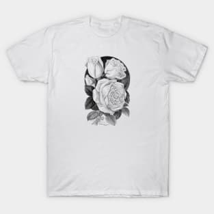 Rose Flowers Black & White Illustration T-Shirt